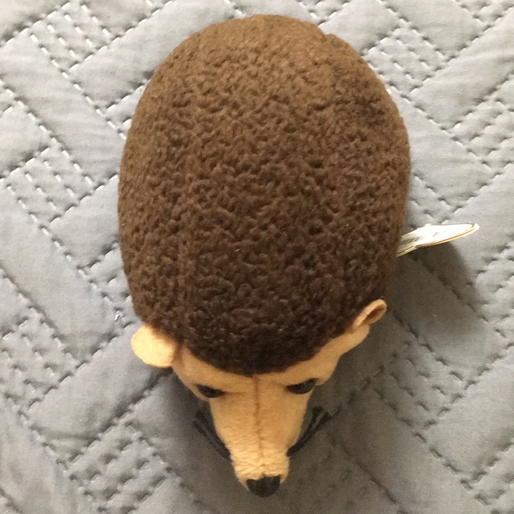 Porcupine,name:prickles,date of birth 2-19-1998